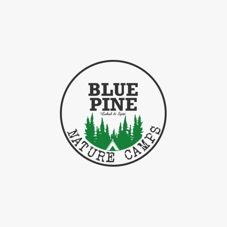 Blue Pine Camps