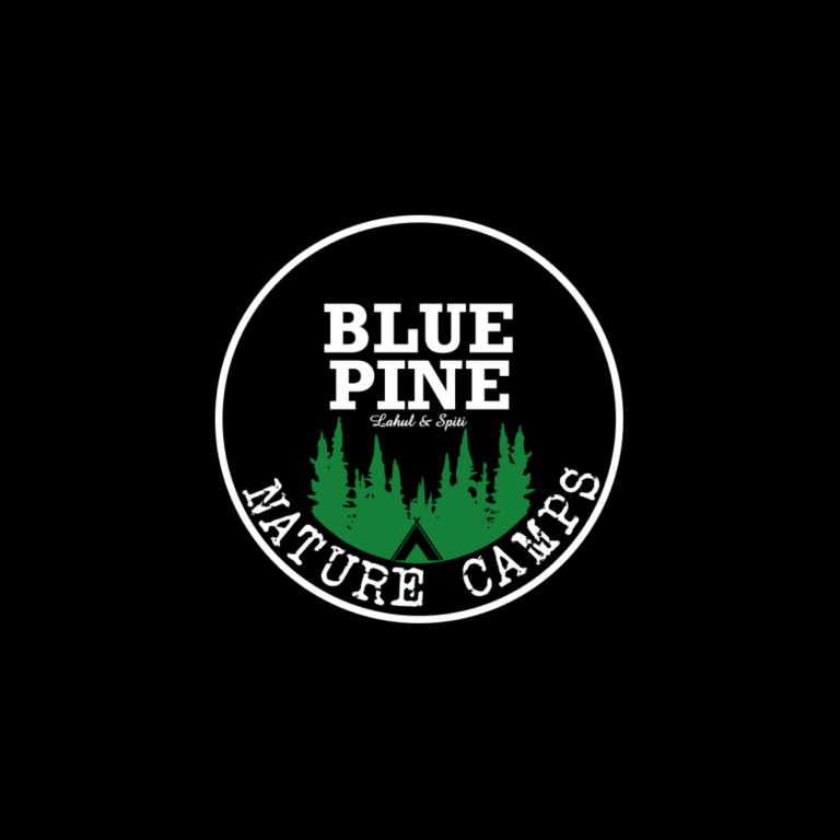 Blue Pine Camps Dark