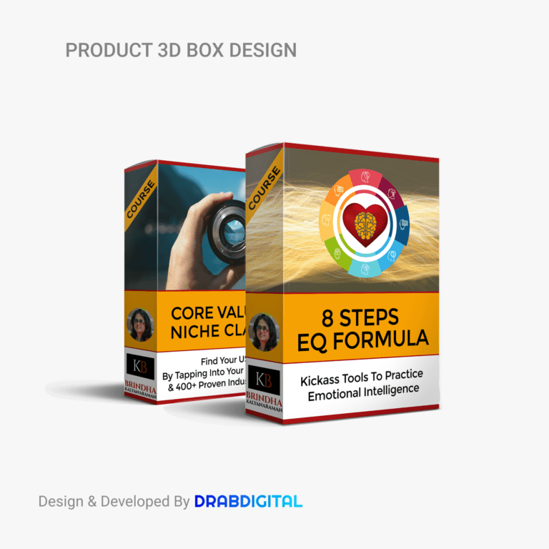Brindha 3D Box design